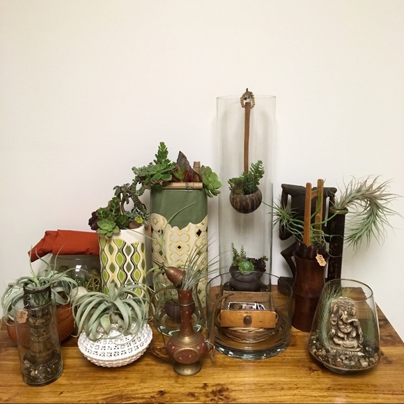 Meet your Posher, Wendell - I’m a fun guy! - Picture 3 of 8